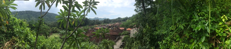 Aussicht über das "typisch" Balinesische Dorf